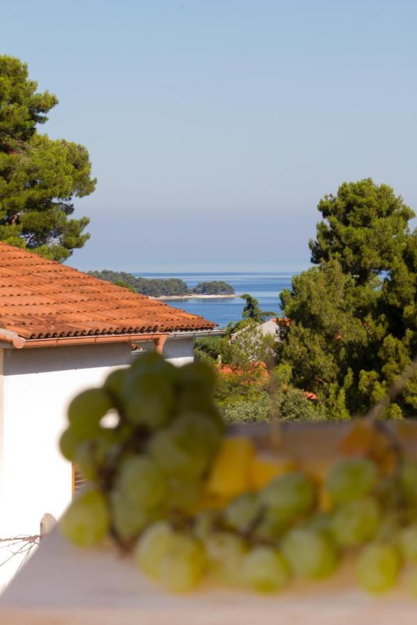 Studio Apartman Nega 2 Rovinj Bagian luar foto